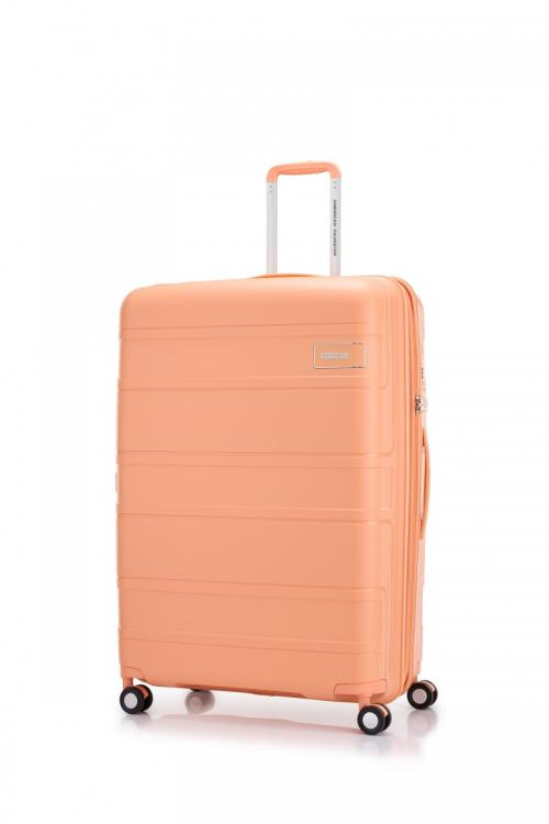 ［sale］スピナー  hi-res | American Tourister