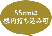 55cmは機内持ち込み可